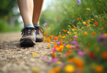 Photo of Важность ежедневных прогулок