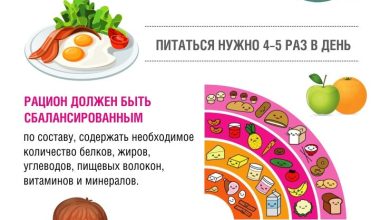 Photo of Правильное питание для детей